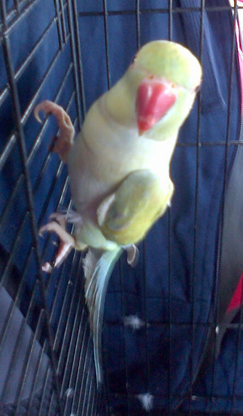 IMG-20131109-00295.jpg