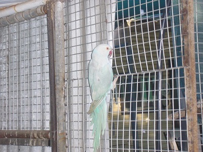 P1010005.JPG