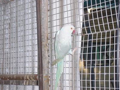 P1010009.JPG