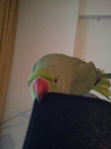20131109_165253.jpg