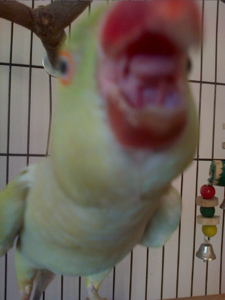 Oooh camera!