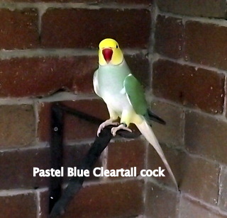 DSCF2259.JPG