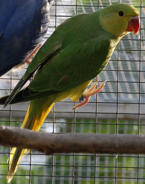 green-ht-2013-2.jpg (97.9 KiB) Viewed 18373 times Green CHCT flash off