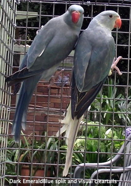 DSCF3481.JPG