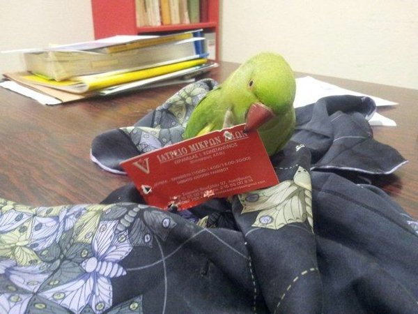 image.jpg