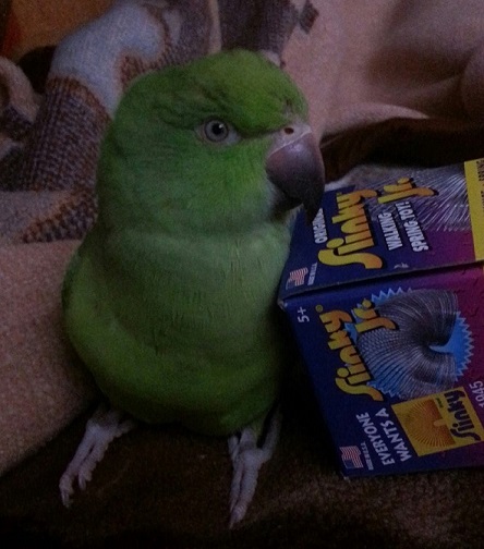 Hanging out with his slinky