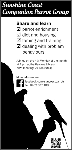 flyer-screenshot.png