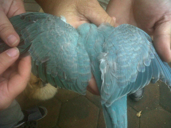 IMG-20131028-WA001.jpg