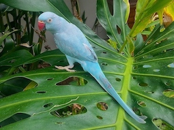 20140307_134823.jpg