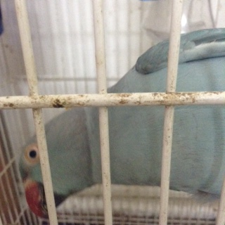 image (4).jpeg