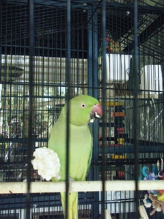 DSCF6027.JPG