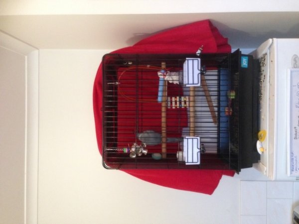Cage-external