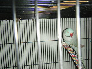 DSCF6116.JPG