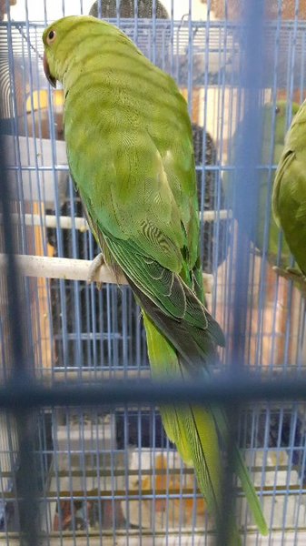 2015-09-03 17.30.15.jpg