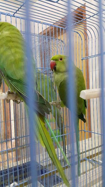 2015-09-03 17.29.24.jpg