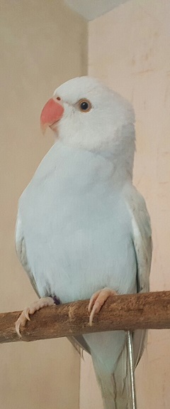 5.jpeg