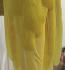 IMG_1461.png