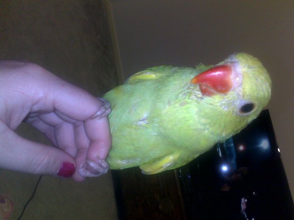 06112010434.jpg