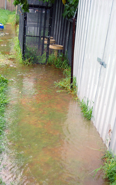 and 6 of my aviaries were flooded with a few inches of water as well as the shed...