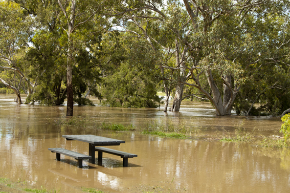 caravan park area 7 dec 10 2010 .jpg