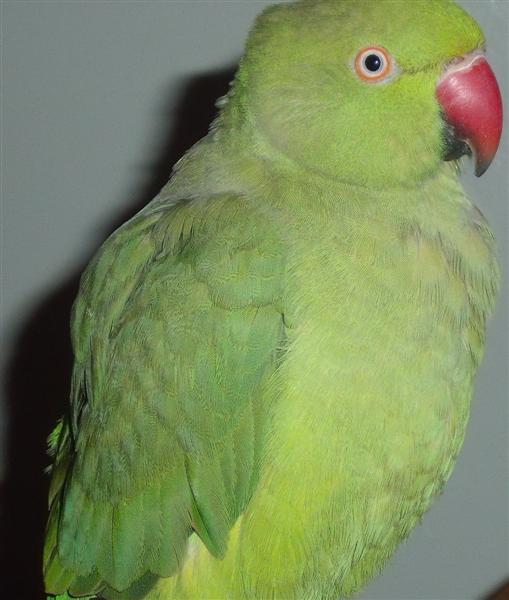 DSCF8591 (Medium).JPG