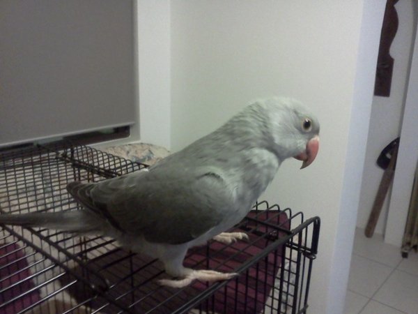 IMG20110111_004.jpg
