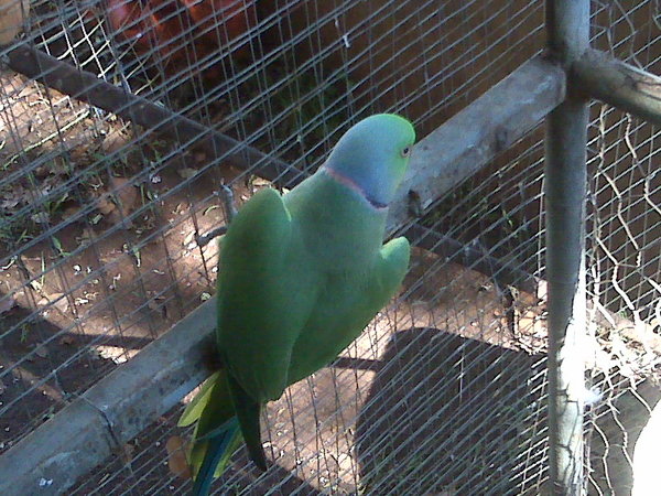 IMG00151.jpg