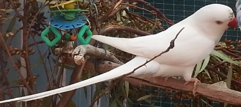 cropped.jpg