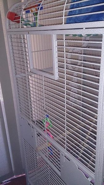 cage.jpg (78.85 KiB) Viewed 4614 times The area to mount