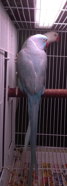photo (22).JPG