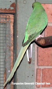 DSCF3114.JPG