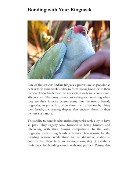 Bonding-Indian-Ringneck